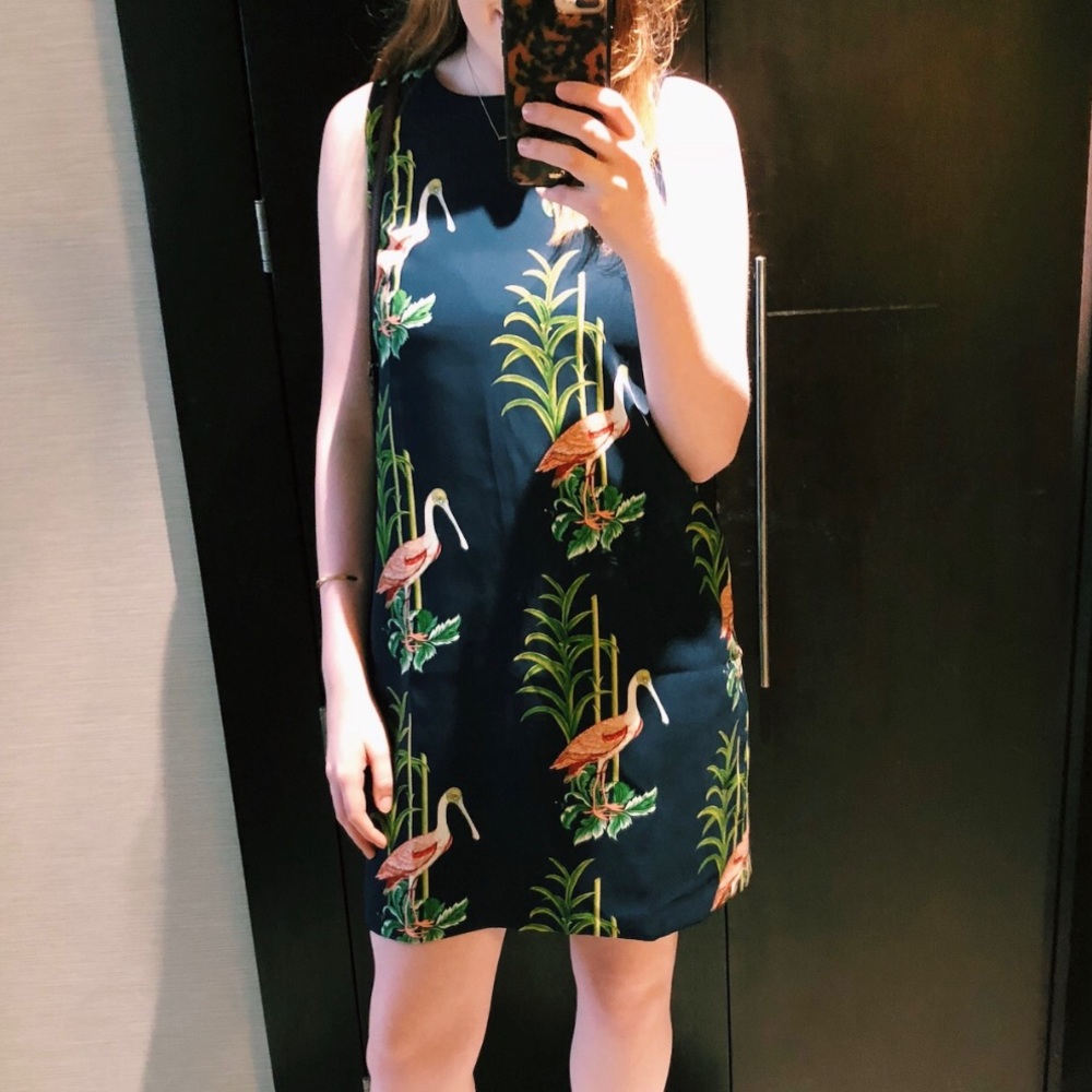 Ann Taylor Flamingo Print Dress